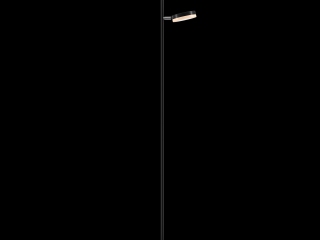 Напольный светильник (торшер) Maytoni MOD070FL-L12B3K
