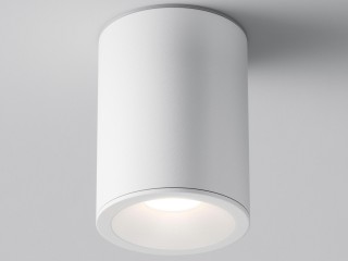 Потолочный светильник Technical C029CL-01W