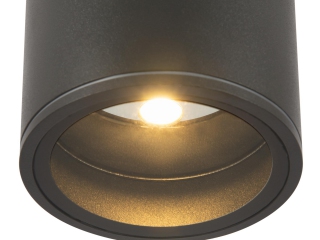 Потолочный светильник Maytoni O306CL-L7GF