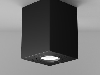 Потолочный светильник Technical C017CL-01B