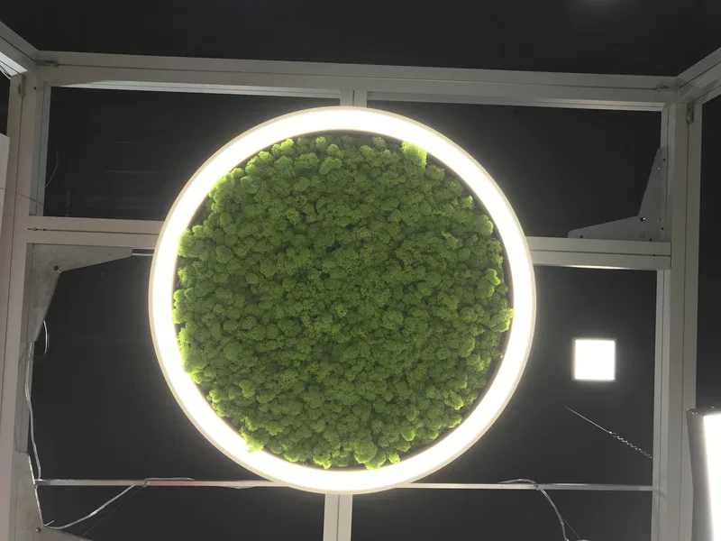 HOKASU InterStroyExpo 2019 Fuarın'da