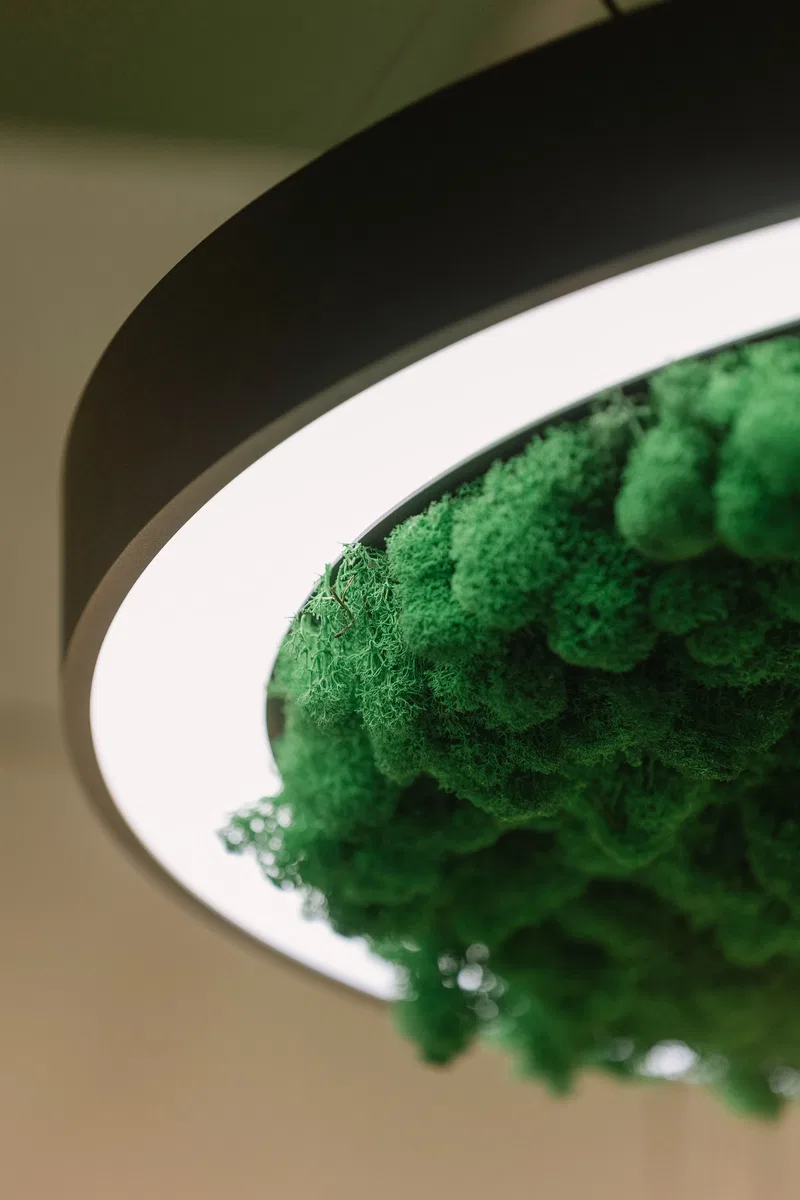 INTERLIGHT 2024