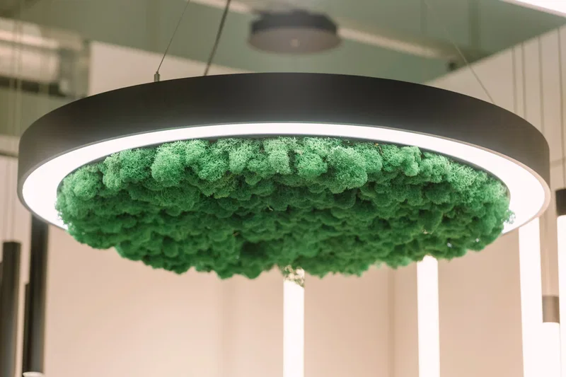INTERLIGHT 2024