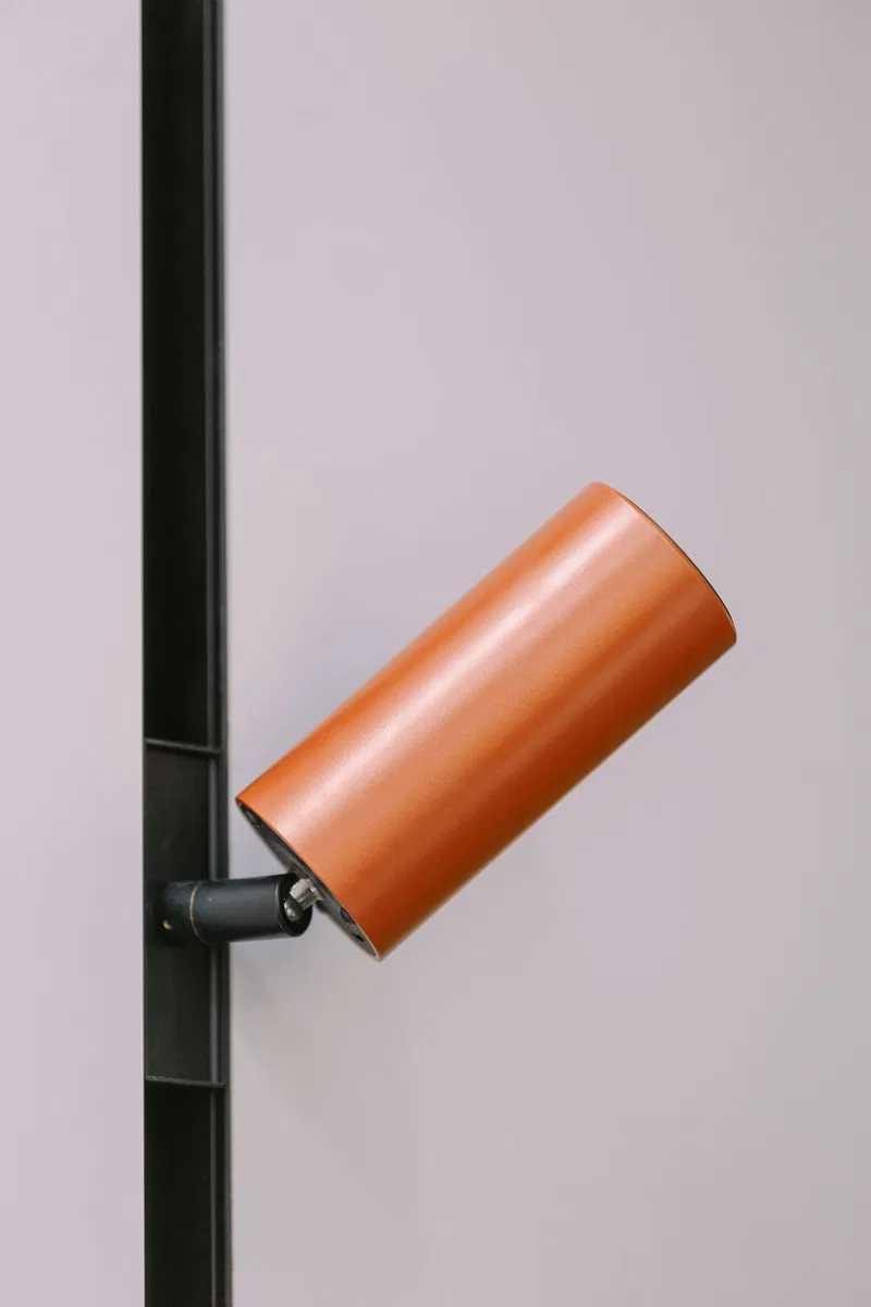 INTERLIGHT 2024