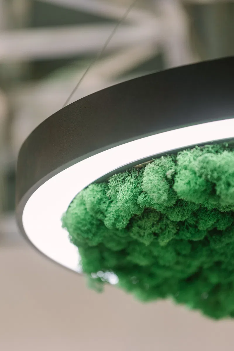 INTERLIGHT 2024