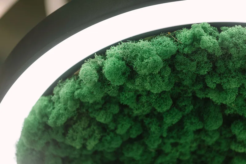 INTERLIGHT 2024