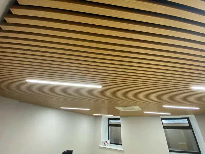 Moskova'da Bir Ofis