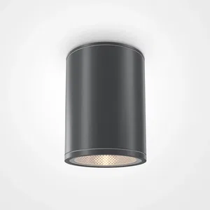 Уличный потолочный светильник Outdoor O306CL-L7GF