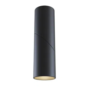 Потолочный светильник Technical C027CL