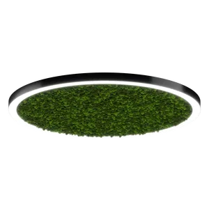 Модульный светильник HOKASU Halo Moss (кольцо со мхом)