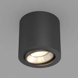 Светильник SP-FOCUS-R140-30W Day4000 (BK, 24 deg, 230V) (Arlight, IP20 Металл, 3 года)