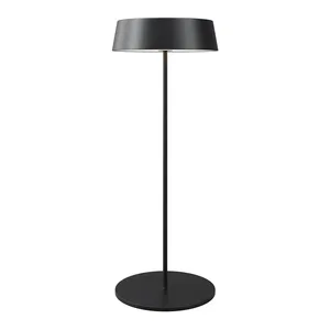 Уличный переносной аккумуляторный светильник Outdoor O540TL-L2BCCT