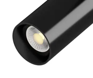 L2.1 Подвесной светильник HOKASU D85 60d 320