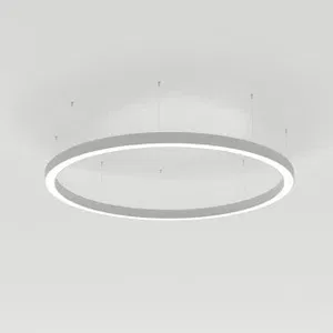 Светильник SP-LINE-HANG-ARC-O3535-D800-65W Day4000 (WHITE, 230V) (Arlight, Металл)