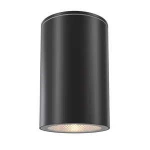 Уличный потолочный светильник Outdoor O307CL-01B