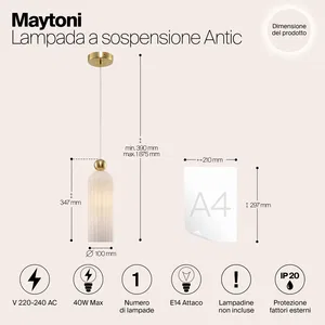 Подвесной светильник Maytoni MOD302PL-01W