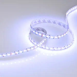 Лента RT-GM288-12mm 24V RGBW-MIX (19.2 W/m, IP20, 3838/2216, 5m) (Arlight, RGB-CCT, RGB-MIX, RGB-White MIX)