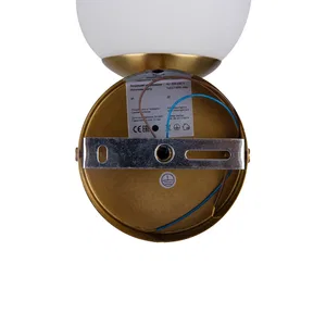 Настенный светильник (бра) Freya FR5205WL-01BS