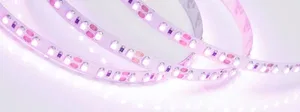 Лента RT-A120-8mm 12V Pink (9.6 W/m, IP20, 2835, 5m) (Arlight, Открытый)