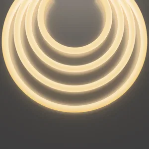 Гибкий неон Led Strip 20301
