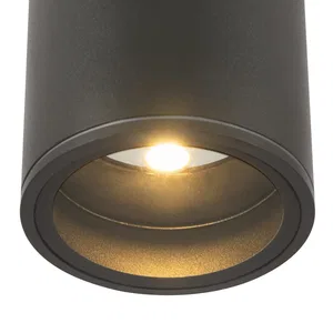 Уличный потолочный светильник Outdoor O306CL-L7GF