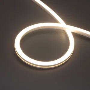 Лента герметичная MOONLIGHT-PRO-SIDE-X320-16x16mm 48V Day4000 (10 W/m, IP67, 30m, wire x2) (Arlight, Вывод боковой, 7 лет)