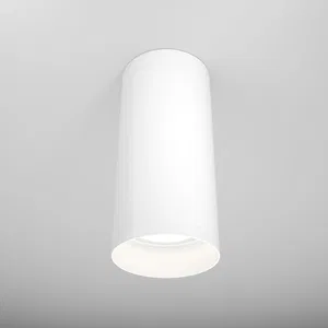 Потолочный светильник Technical C010CL-01W