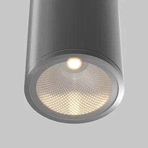 Уличный потолочный светильник Outdoor O306CL-L7GF