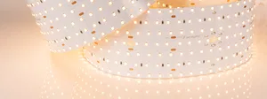 Лента S2-2500 24V Warm 2700K 85mm (2835, 560 LED/m, LUX) (Arlight, 40 Вт/м, IP20)