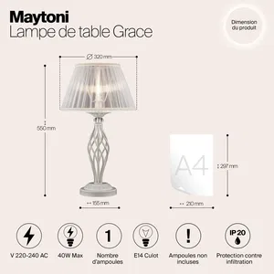 Настольный светильник Maytoni ARM247-00-G