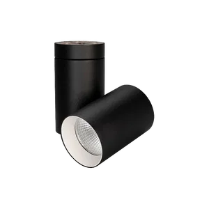 Светильник SP-POLO-SURFACE-TURN-R85-15W Day4000 (WH-WH, 40 deg) (Arlight, IP20 Металл, 3 года)