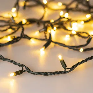 Светодиодная гирлянда ARD-STRING-PRO-1000-GREEN-100LED-PULSE Warm (230V, 7W) (Ardecoled, IP65, 2 года)