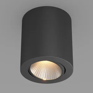 Светильник SP-FOCUS-R120-16W Warm White (Arlight, IP20 Металл, 3 года)