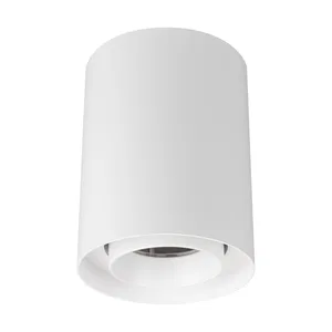Светильник SP-FOCUS-R110-18W Day4000 (WH, 24 deg, 230V) (Arlight, IP54 Металл, 5 лет)