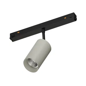 Светильник MAG-ORIENT-COLOR-SPOT-R45-10W Day4000 (RAL7044, 15 deg, 48V) (Arlight, IP20 Металл, 5 лет)