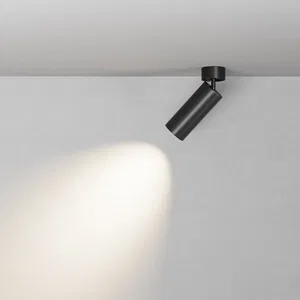 Потолочный светильник Technical C055CL-L20W2.7-3-4K-M-B