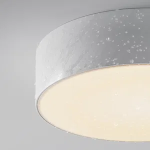 Уличный потолочный светильник Outdoor O431CL-L30W3K