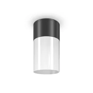 Уличный потолочный светильник Outdoor O418CL-01B