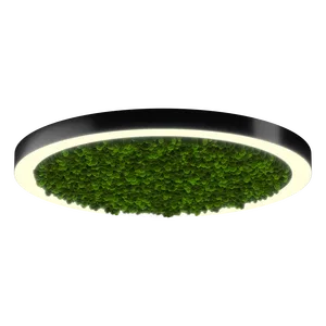 Модульный светильник HOKASU Halo Moss (кольцо со мхом)