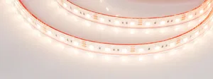 Лента герметичная RTW-PS-B60-12mm 12V Warm3000 (14.4 W/m, IP67, 5060, 5m) (Arlight, 14.4 Вт/м, IP67)