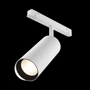 Трековый светильник Technical TR032-2-20W3K-S-W