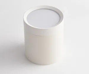 Потолочный светильник Technical C086CM-GX53-MRD-WS