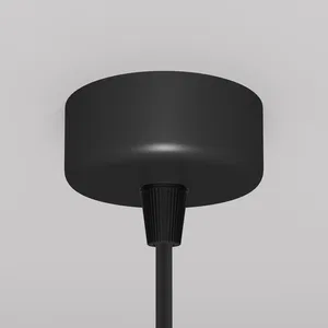 Подвесной светильник Maytoni P038PL-01B