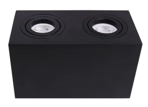 Потолочный светильник Technical C017CL-02B