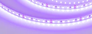 Лента RT-A120-8mm 24V Violet (9.6 W/m, IP20, 2835, 5m) (Arlight, -)