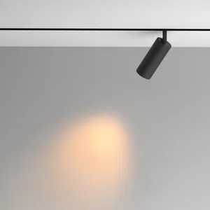 Трековый светильник Technical TR097-2-12W2.7K-M-BB