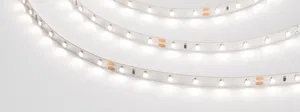 Лента RT 2-5000-50m 24V Day4000 (3528, 60 LED/m, LUX) (Arlight, 4.8 Вт/м, IP20)