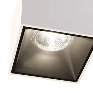 Потолочный светильник Technical C065CL