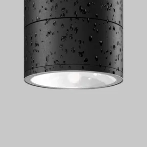 Уличный потолочный светильник Outdoor O310CL-L7GF3K