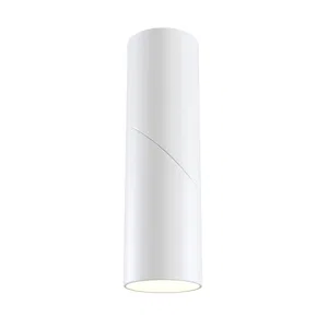 Потолочный светильник Technical C027CL-L10W
